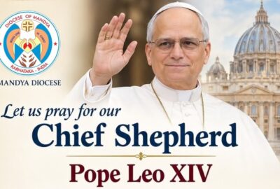 Let us pray for our Chief Shepherd, Pope Leo XIV